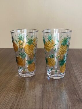Pineapple Embossed Thick Acrylic Pint Tumbler Glasses Tropical Pool Bar Party